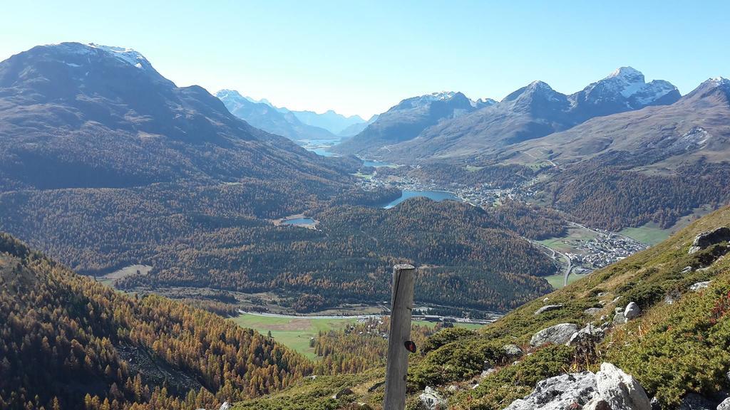 Hotel Allegra Pontresina Kültér fotó